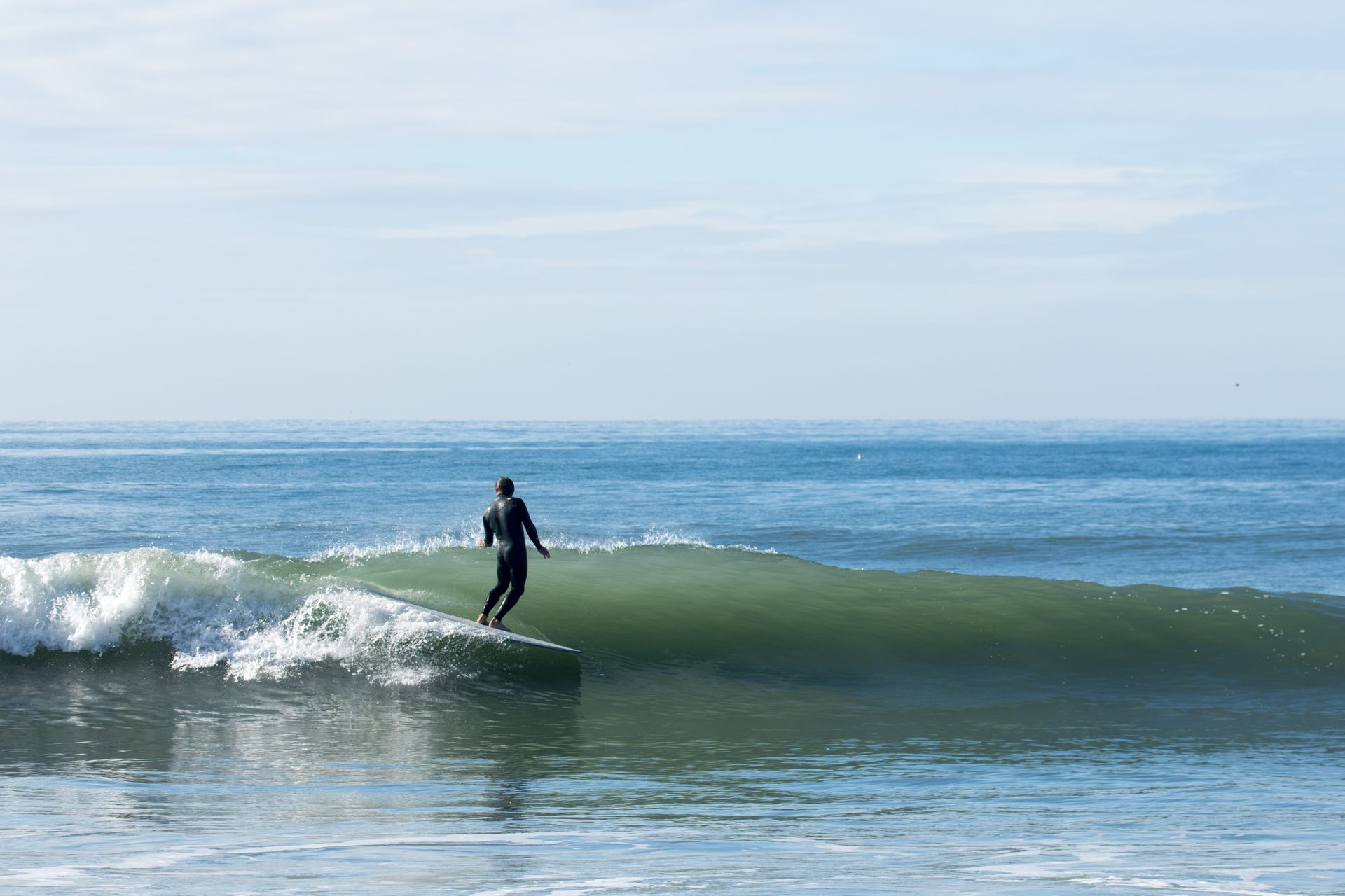 A longboarder gliding across a clean green wave